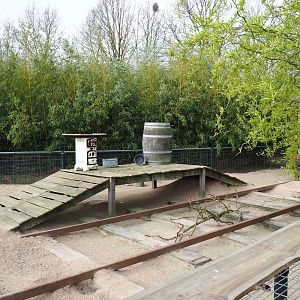 North American porcupine and black-tailed prairie dog exhibit, 2019-04-06