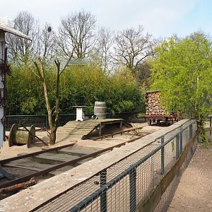 North American porcupine and black-tailed prairie dog exhibit, 2019-04-06