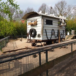 North American porcupine and black-tailed prairie dog exhibit, 2019-04-06