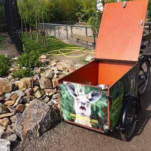 Zookeeper feeding carrier tricycle, 2019-04-06