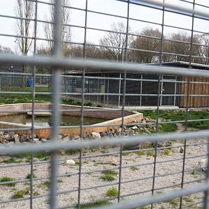 Spotted hyena exhibit - Pool and holding building, 2019-04-06