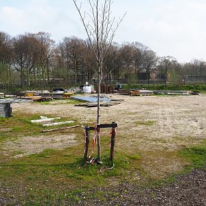 Terrain with construction materials, 2019-04-06