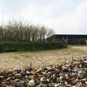 Bactrian camel paddock, 2019-04-06