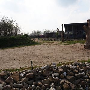 Bactrian camel paddock, 2019-04-06