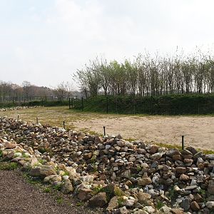 Bactrian camel paddock, 2019-04-06