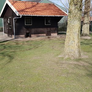 Kangaroo - Wallaby enclosure