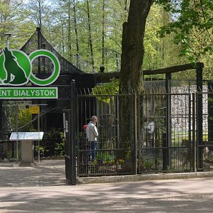 Entrance and Wolf Viewing at Akcent Zoo Białystok, 08/05/19