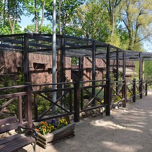 European Lynx Enclosure at Akcent Zoo Białystok, 08/05/19