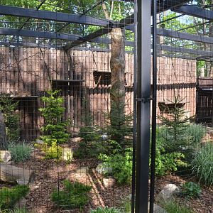 European Lynx Enclosure at Akcent Zoo Białystok, 08/05/19