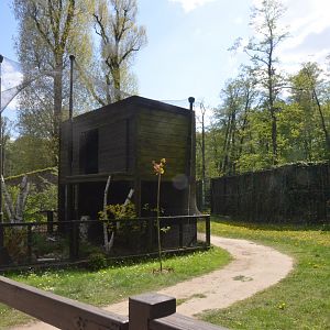 Owl Aviary at Akcent Zoo Białystok, 08/05/19