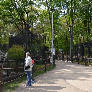Bird of Prey/Owl Aviaries and Lynx Enclosures at Akcent Zoo Białystok, 08/05/19