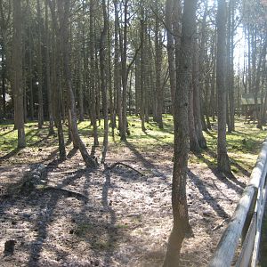 Farm Fun - Donkey exhibit