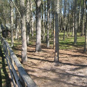 Farm Fun - Donkey exhibit
