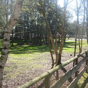 Farm Fun - Llama exhibit
