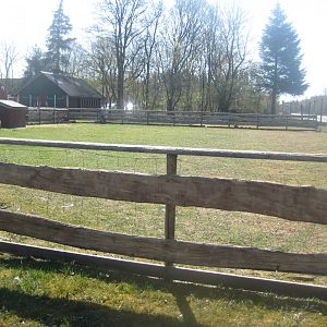 Farm Fun - Petting exhibit #1