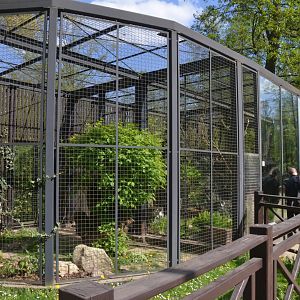 European Wildcat Enclosure at Akcent Zoo Białystok, 08/05/19