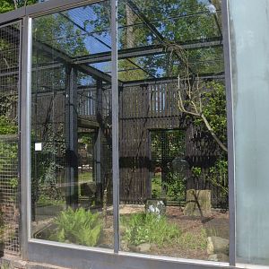 European Wildcat Enclosure at Akcent Zoo Białystok, 08/05/19