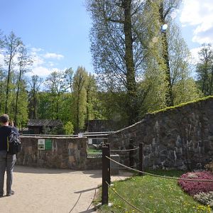 Bear Enclosure Viewing at Akcent Zoo Białystok, 08/05/19