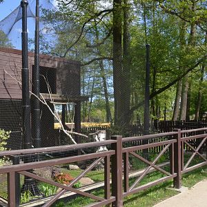 Empty Bird of Prey Aviary at Akcent Zoo Białystok, 08/05/19