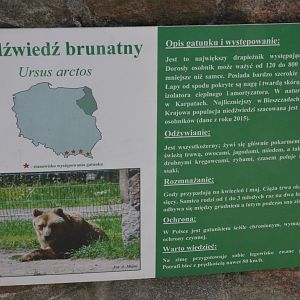Signage Example at Akcent Zoo Białystok, 08/05/19