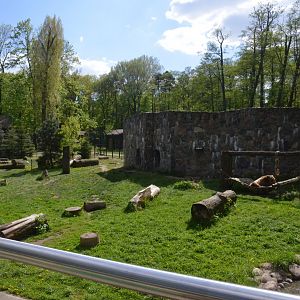 Brown Bear Enclosure at Akcent Zoo Białystok, 08/05/19