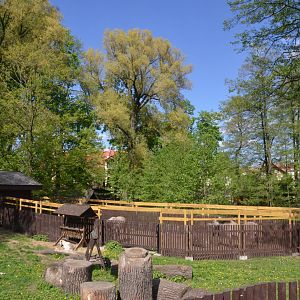 Goat and Pony Enclosures at Akcent Zoo Białystok, 08/05/19