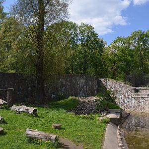 Brown Bear Enclosure at Akcent Zoo Białystok, 08/05/19