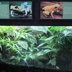 Golden PDF Terrarium