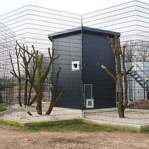 Construction of new binturong exhibit, 2019-04-06