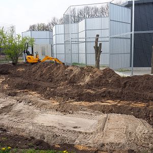 Construction of new exhibits, 2019-04-06