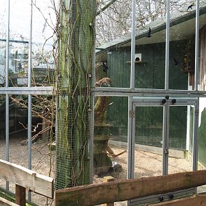 Mixed African exhibit, 2019-04-06