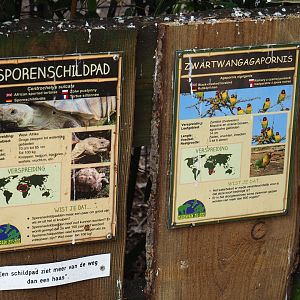 Mixed African exhibit signage (2), 2019-04-06