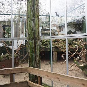 Mixed African exhibit, 2019-04-06