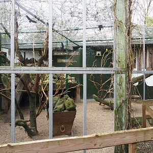 Mixed African exhibit, 2019-04-06