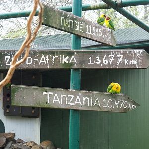 A long way away ... 2019-04-06