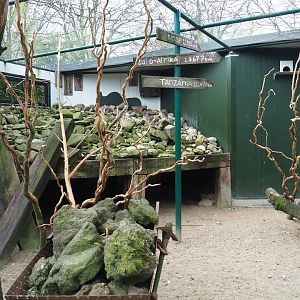 Mixed African exhibit, 2019-04-06