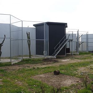 Construction of new exhibits, 2019-04-06