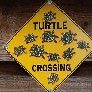Turtle crossing sign - On exhibit housing tortoises, 2019-04-06