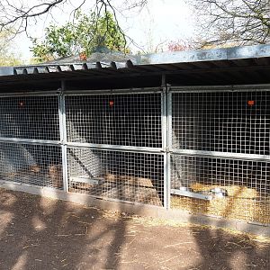 Domestic rabbit holding kennels, 2019-04-06