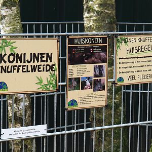 Domestic rabbit and guinea pig petting pen rules signs, 2019-04-06