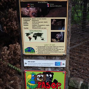 Tayra signage, 2019-04-06