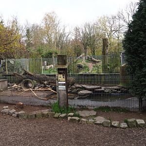 Nutria exhibit, 2019-04-06