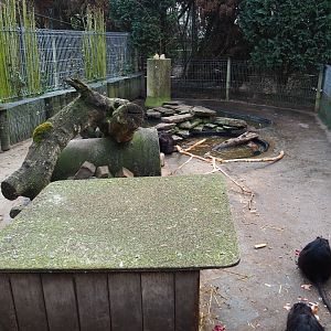 Nutria exhibit, 2019-04-06