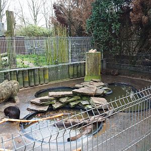 Nutria exhibit, 2019-04-06