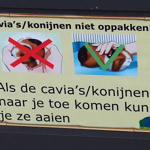 Domestic rabbit and guinea pig touching rules sign, 2019-04-06