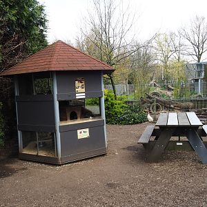 Domestic guinea pig housing tower and picnic area near the nutria exhibit, 2019-04-06