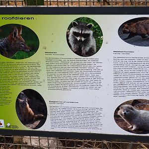 Information sign about small carnivores, 2019-04-06