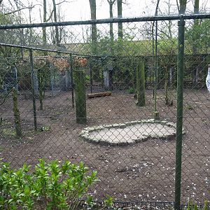 Indian sarus crane aviary, 2019-04-06
