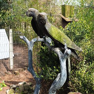 Macaw statues, 2019-04-06