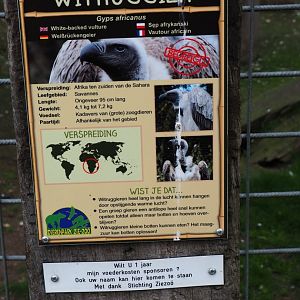 Sign African white-backed vulture, 2019-04-06